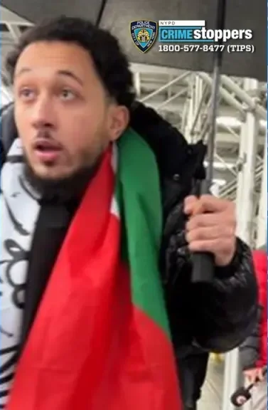 tarek-bazrouk-allegedly-punched-jonathan-104006270